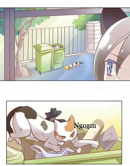 dưới móng vuốt mèo chapter 8 41