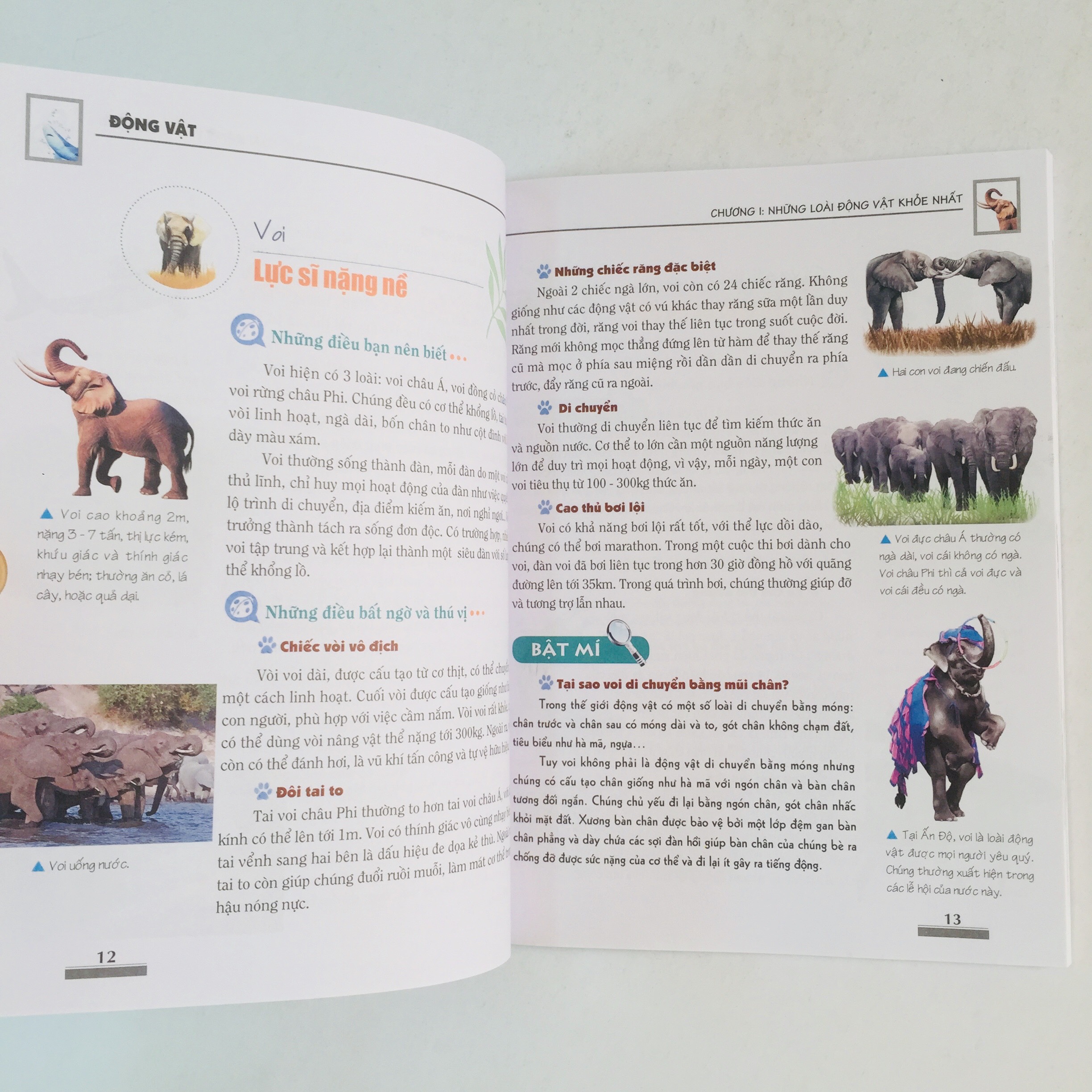 Khám Phá Bí Ẩn Thế Giới Tự Nhiên Dành Cho Học Sinh – Boxset 5 cuốn