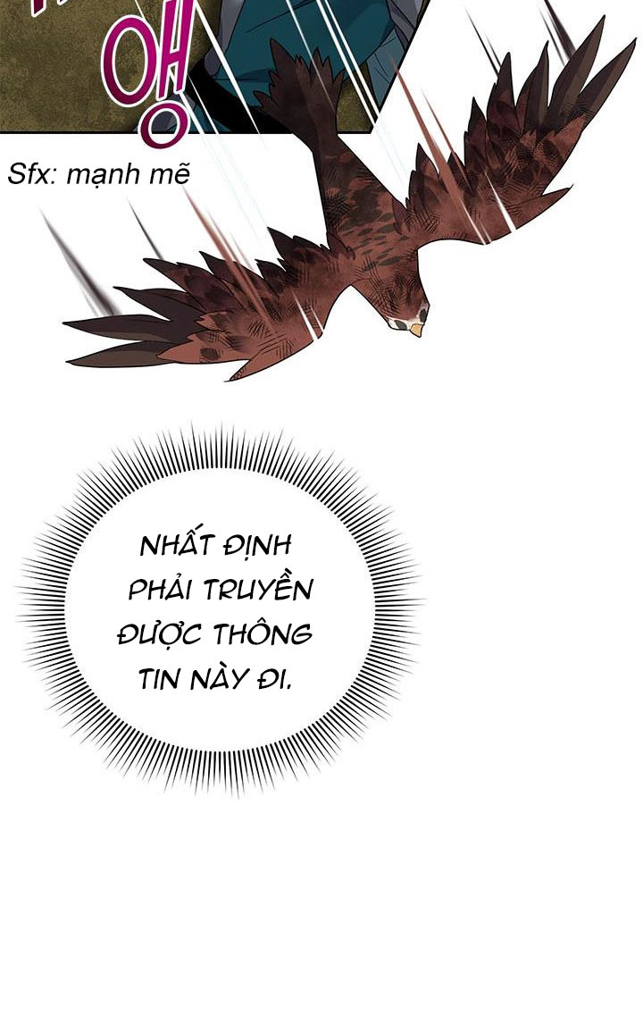 công chúa của loài chim chapter 12 22