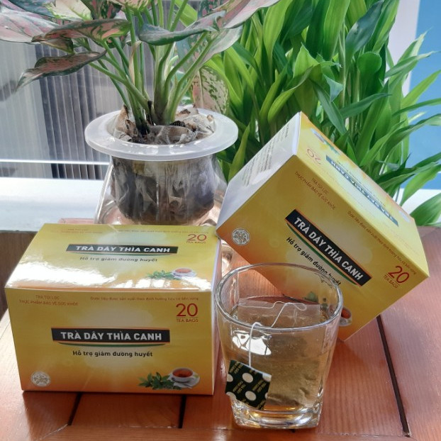Trà Dây Thìa Canh – Dùng cho người bị tiểu đường