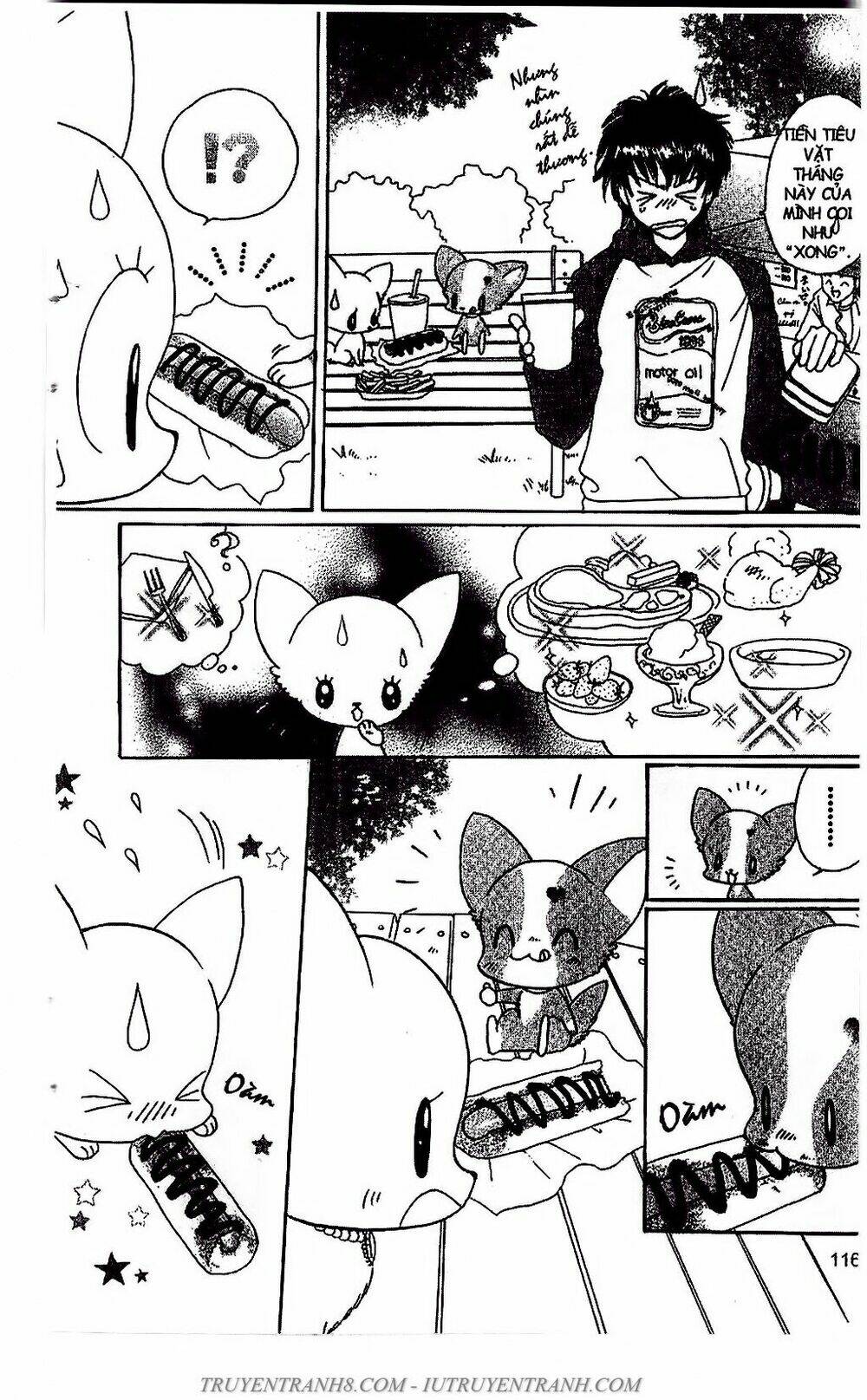 bộ sưu tập lọ lem chapter 51 14