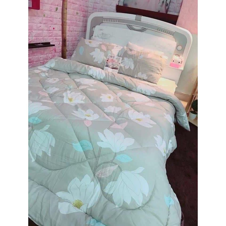 BỘ COTTON ĐŨI CHĂN PHAO