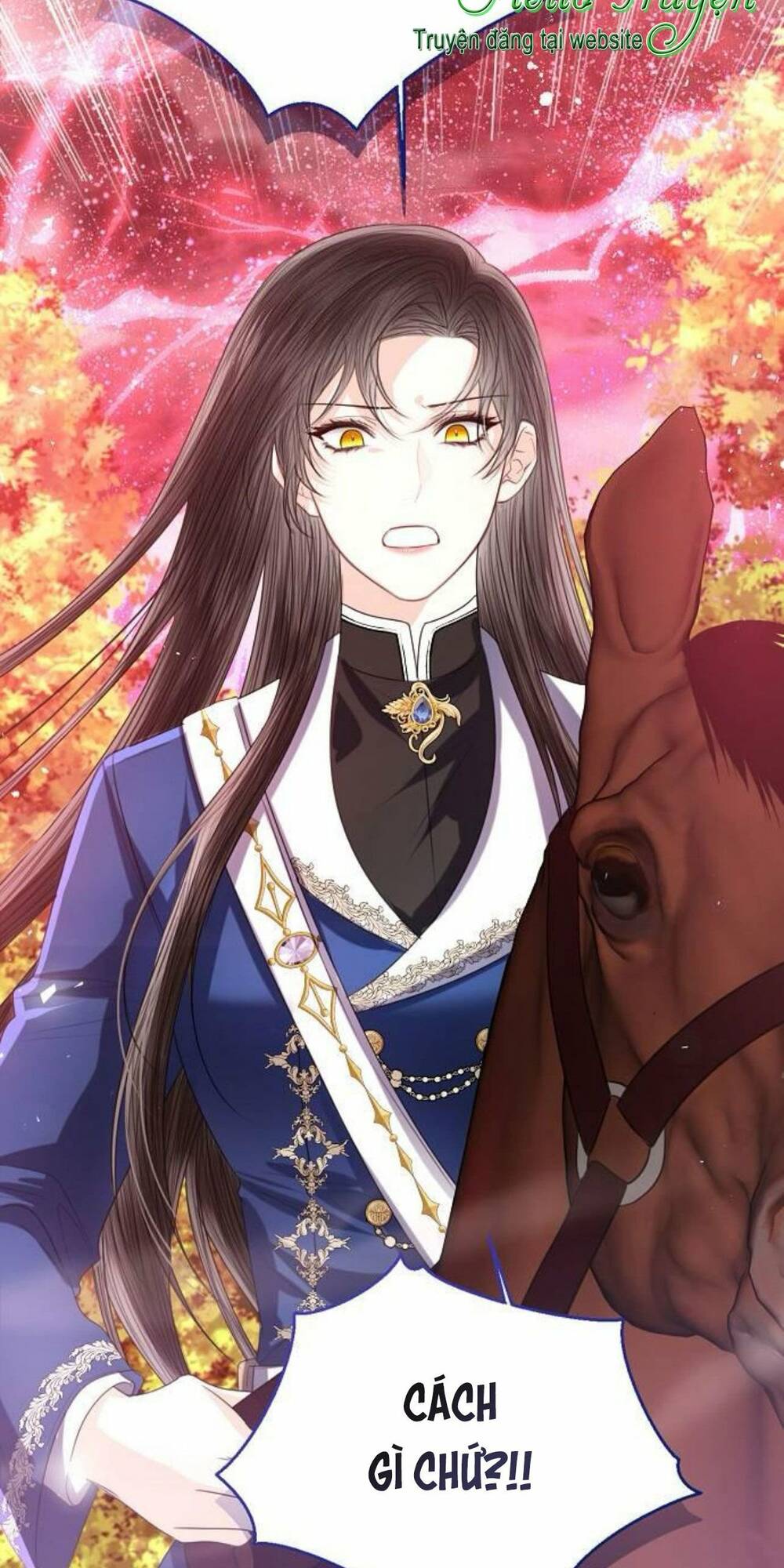 tôi sẽ từ bỏ vị trí hoàng hậu chapter 45 32