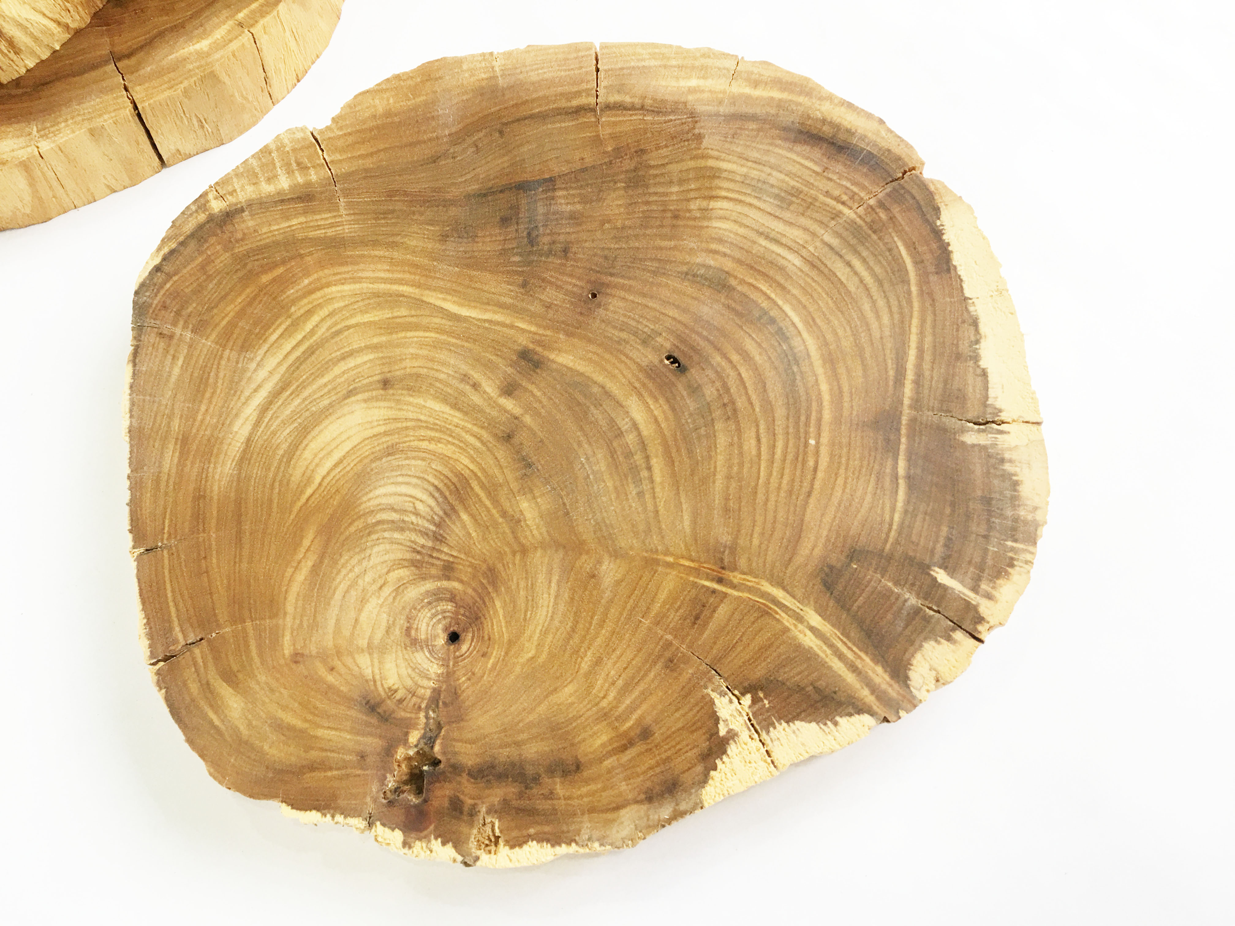 Khoanh gỗ lũa dùng trang trí, decor vintage, chụp ảnh KT 18-25cm