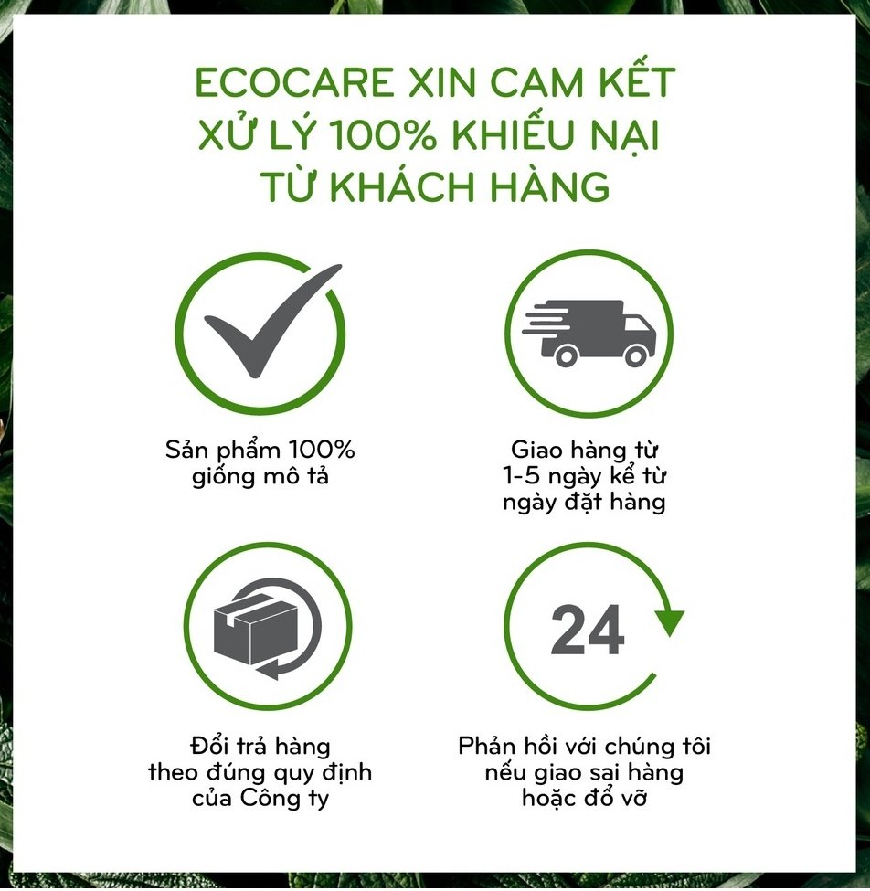 Nước rửa tay hữu cơ diệt khuẩn dạng bọt hương Cam 4000ml thương hiệu Ecocare