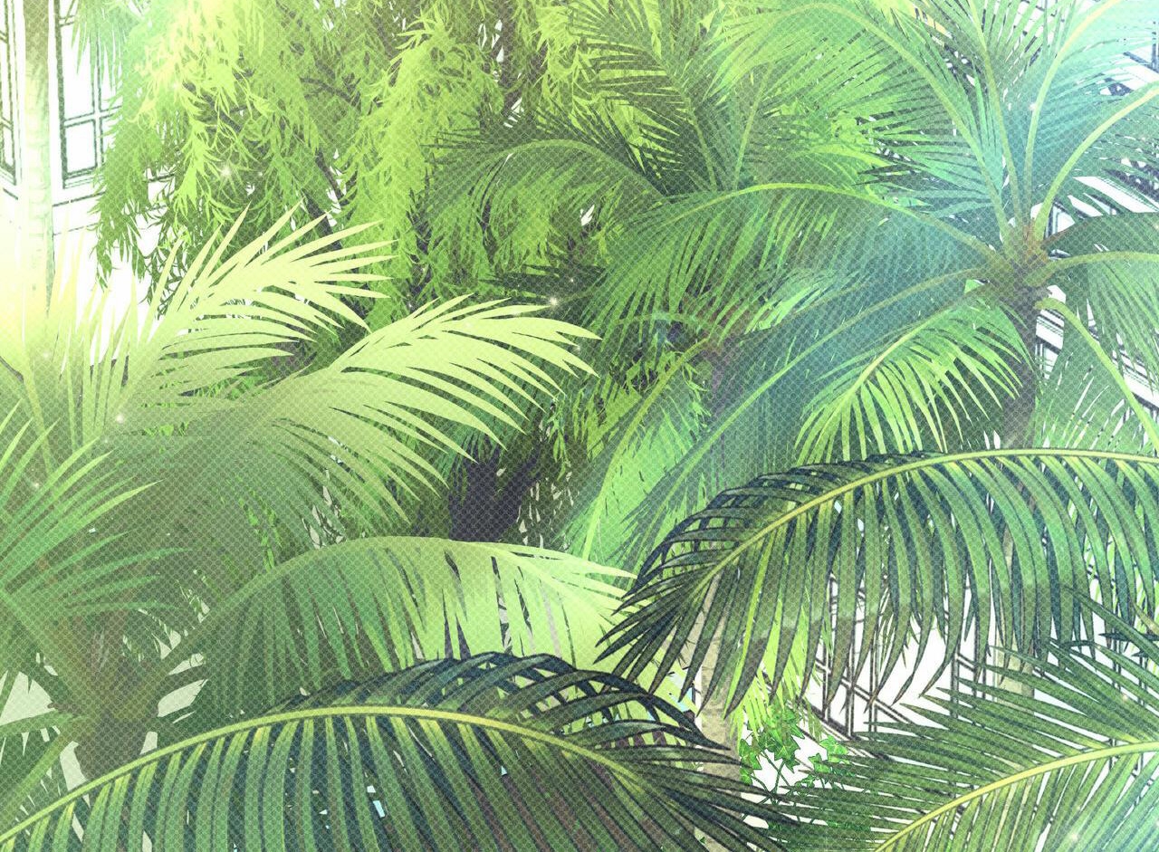 dải hợp âm trên đại dương xanh chapter 29 97