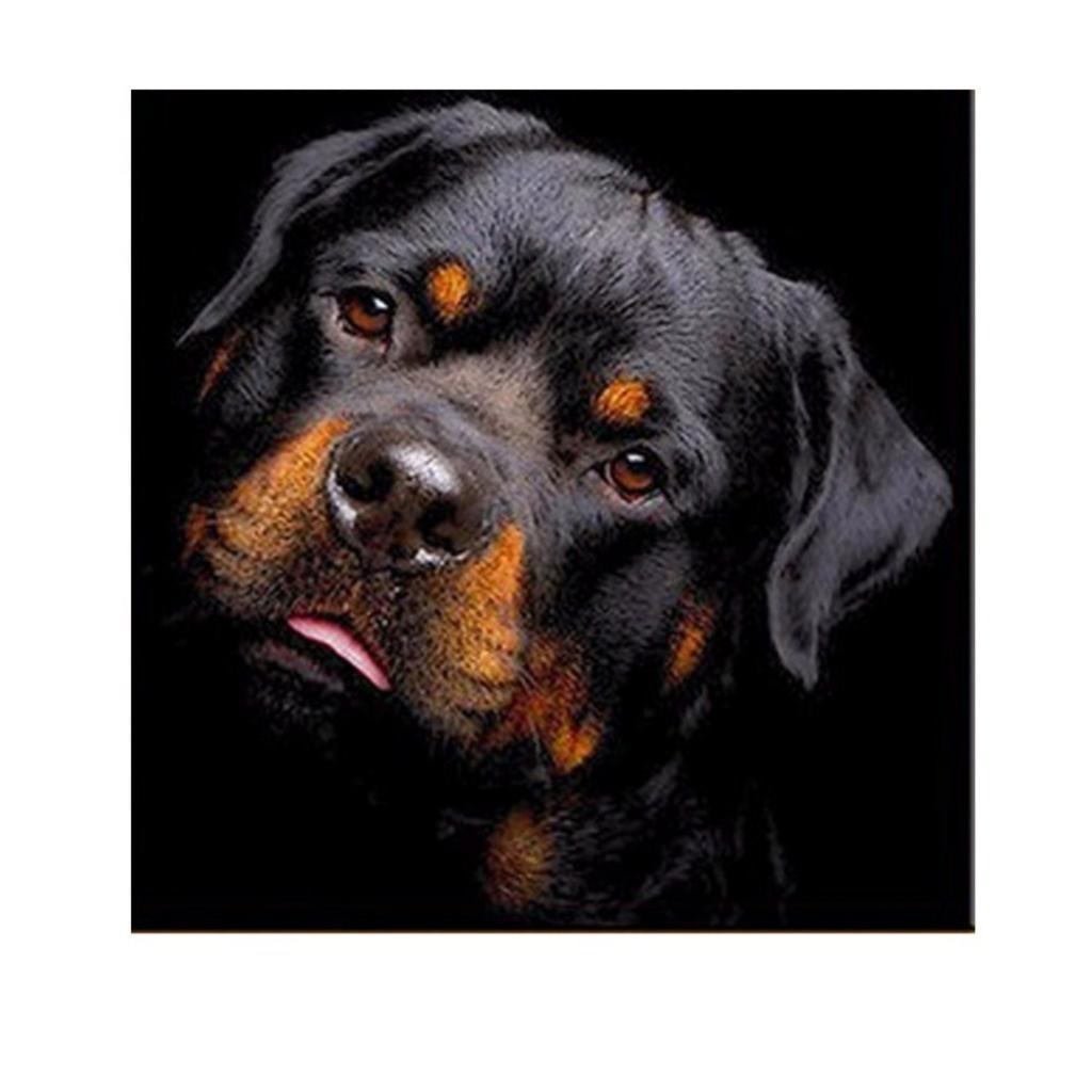 DIY Diamond Painting Kit Full Black Dog 5D Rhinestone Embroidery Home Decor