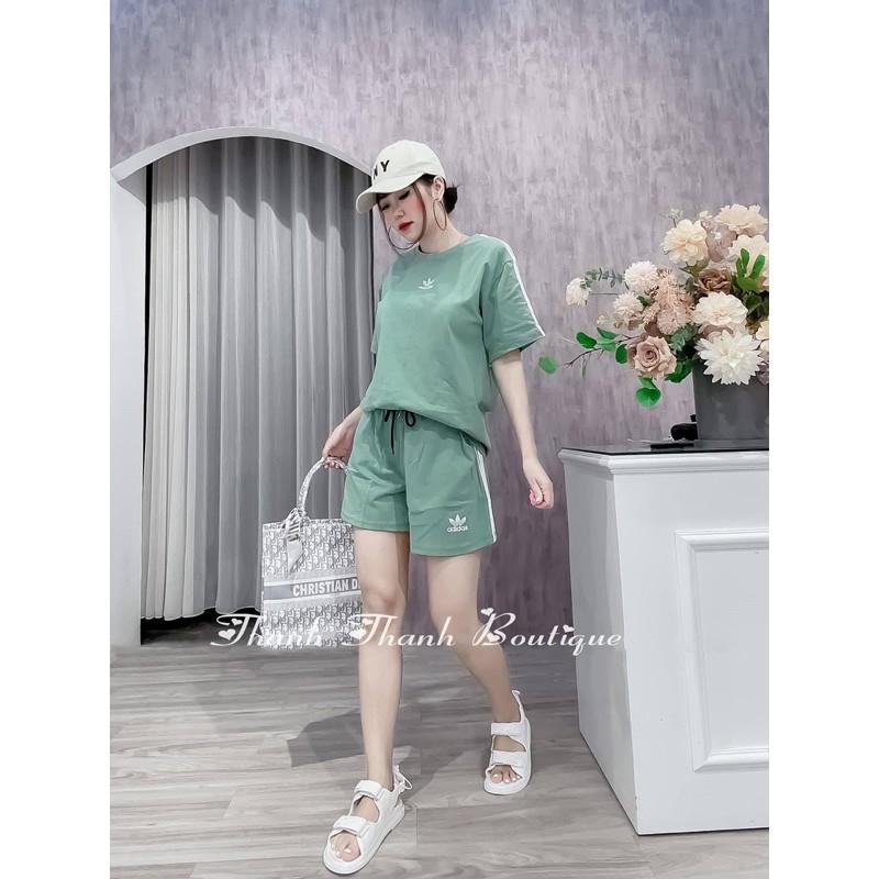 BỘ COTTON 3 LÁ CỘC VIỀN SỌC BẢNG 3 MÀU CHO NỮ