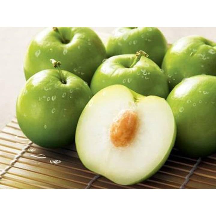 Cây táo Ngọt D28 giống mới Trái to, Ngọt năng suất cao
