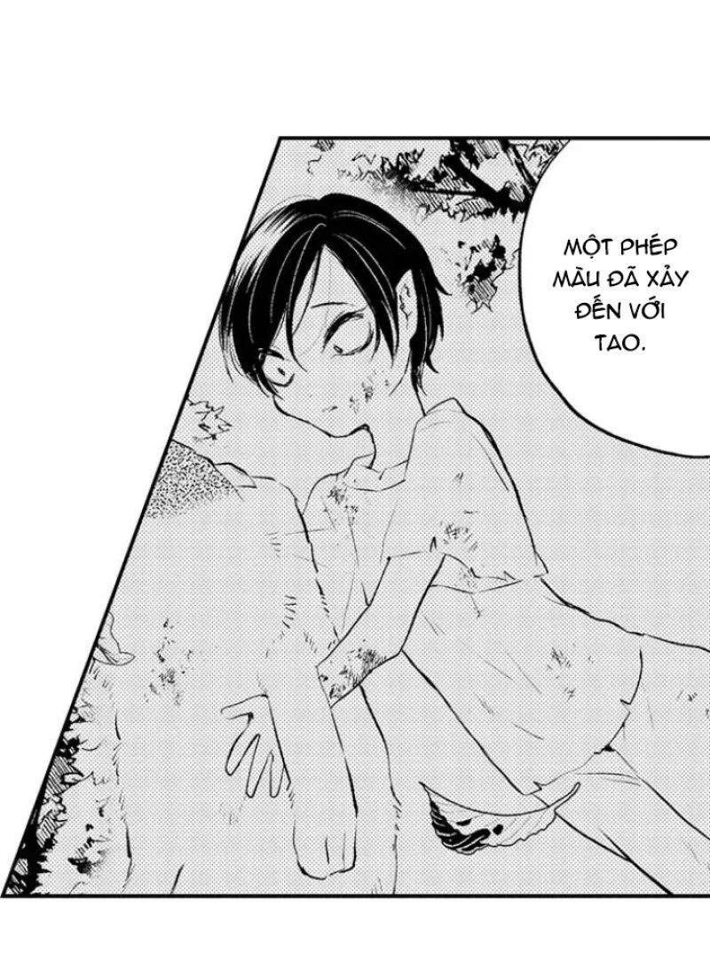 tiếng gọi của tình yêu sau trải nghiệm cận tử chapter 38 7