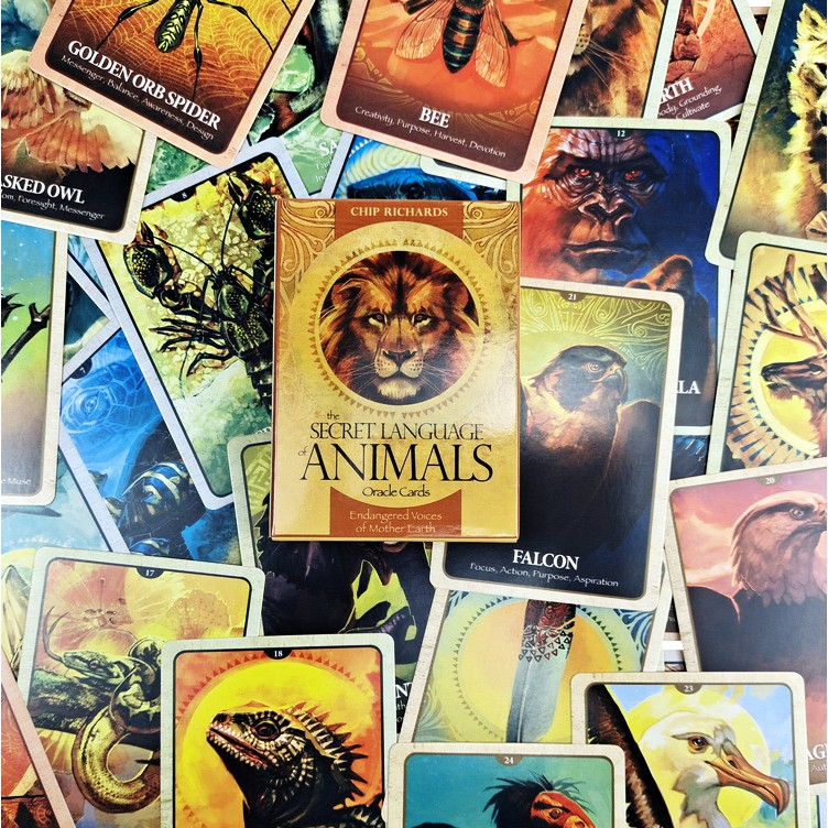 Bộ bài Secret Language Of Animals Oracle O8