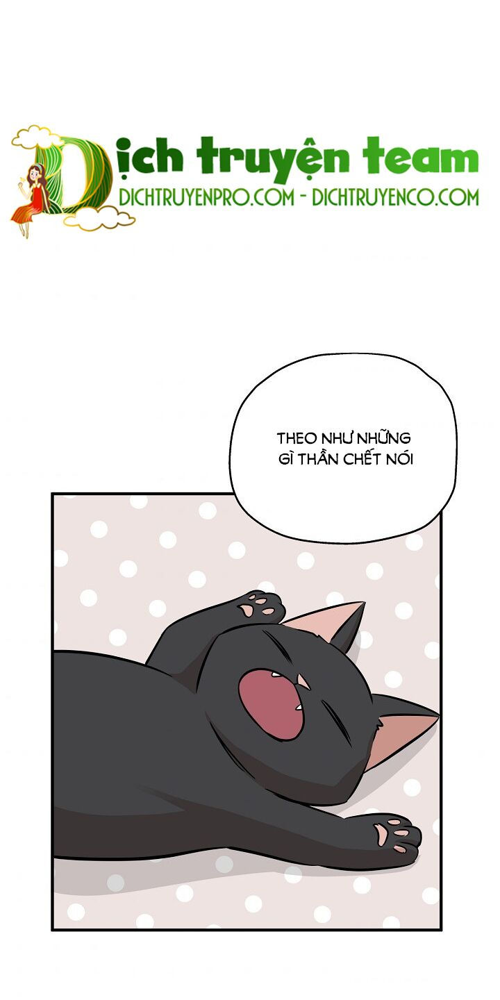 cuộc sống kỳ thú chapter 63 71