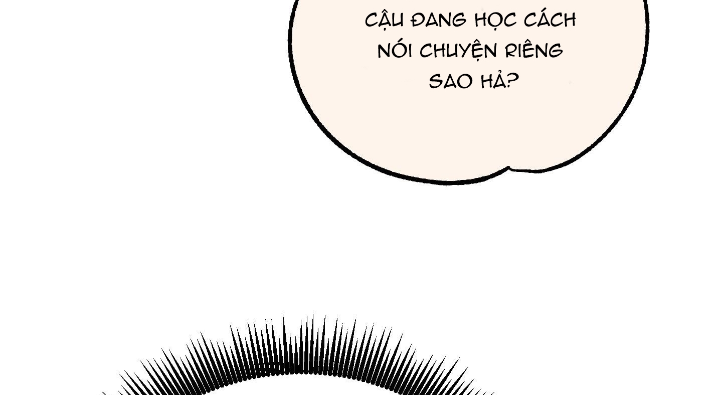 lãng mạn giả dối chapter 11 109