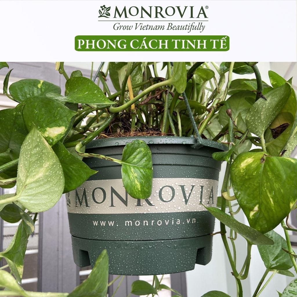 Chậu treo ban công MONROVIA, trồng hoa, cây cảnh, sân vườn, thiết kế tinh tế, thoát nước tốt, tiêu chuẩn Châu Âu
