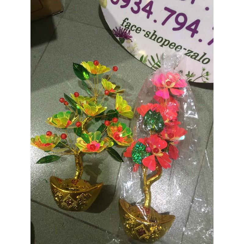 Cây kim tiền trang trí hoa lưu ly 30cm phk shop