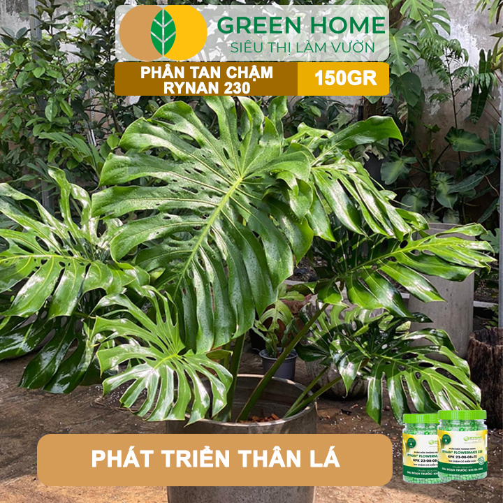 Phân tan chậm Rynan 230, chai 150gr, chuyên kiểng lá, dưỡng lá xanh, sinh trưởng khoẻ |Greenhome