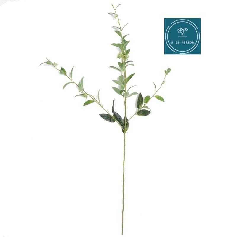 Cành lá Ô rô có hoa cao 102cm đẹp mong manh xanh mát