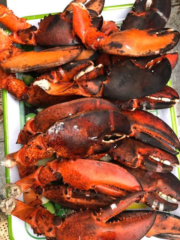 ] - Càng tôm hùm hấp bia