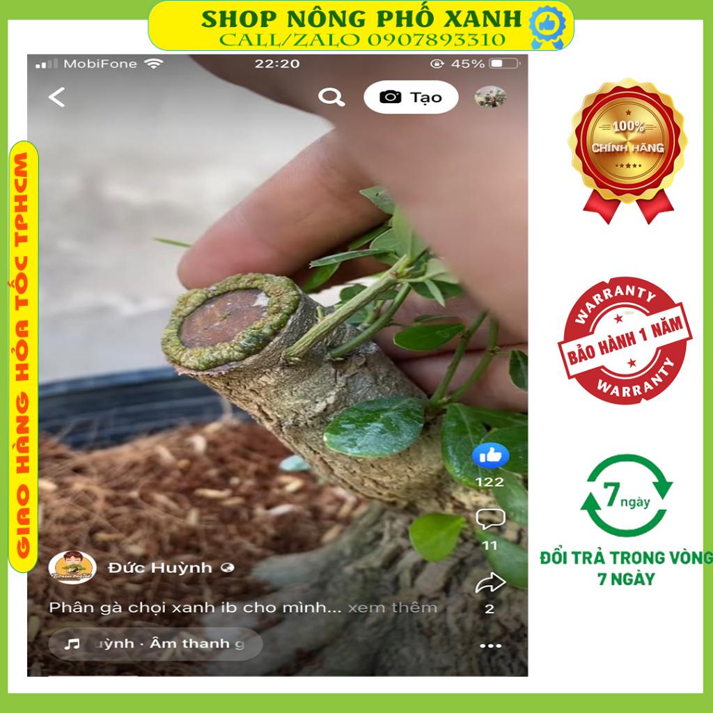 Keo liền sẹo cây 100gr LS50-60-70 liền sẹo, thẹo, da cây mai vàng, bonsai, cây cảnh , ăn trái nhanh, chất lượng, giá rẻ