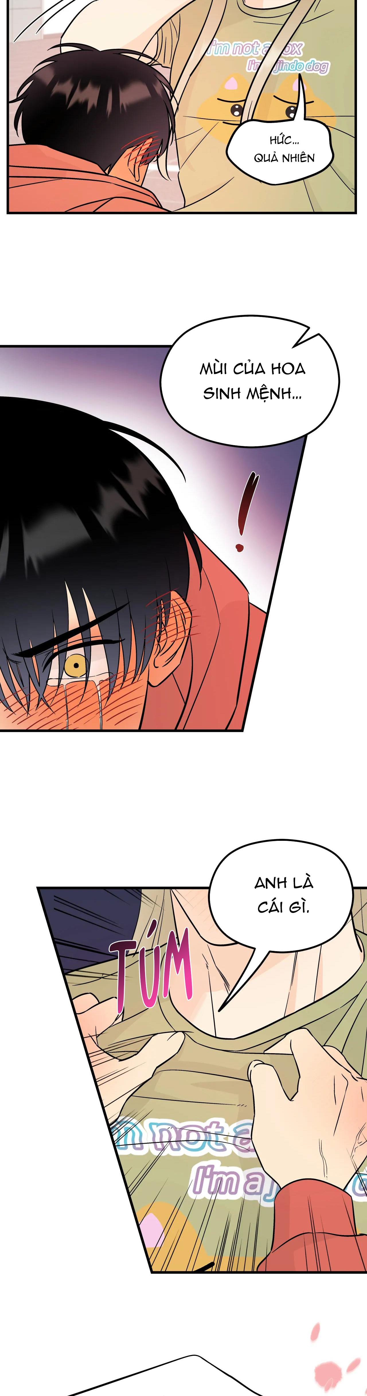 tình yêu cổ tích chapter 4 18