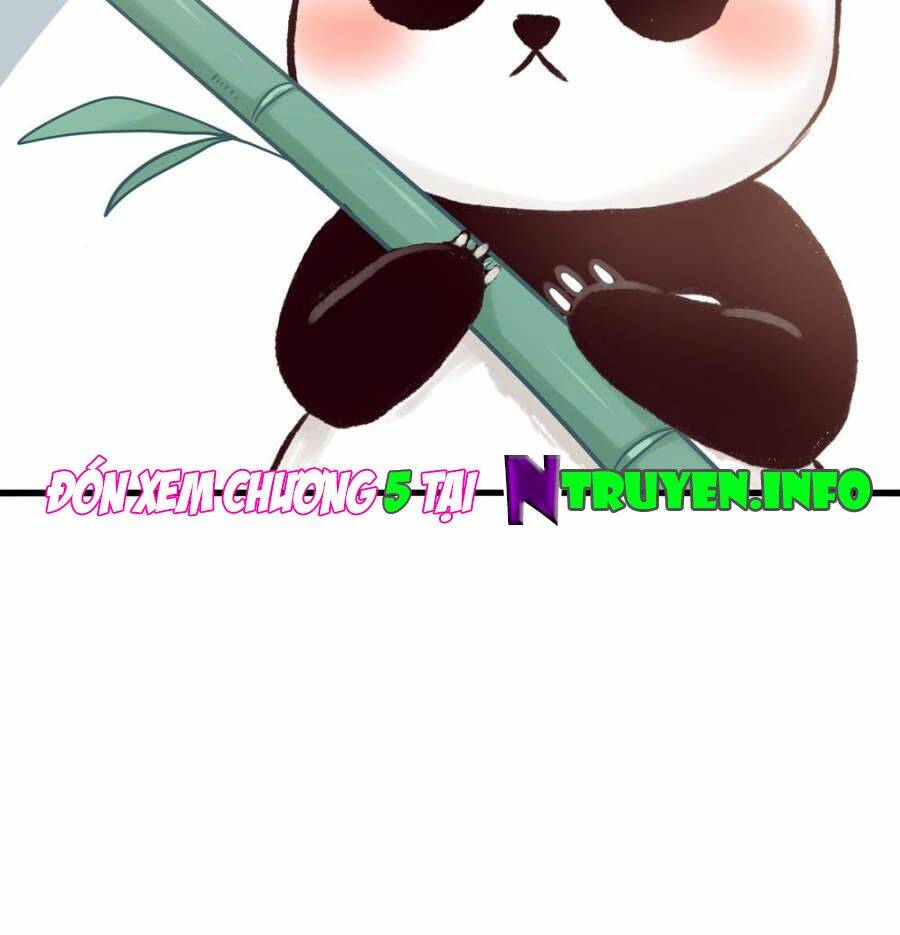 tôi bị gấu trúc nhìn trúng rồi chapter 4 32