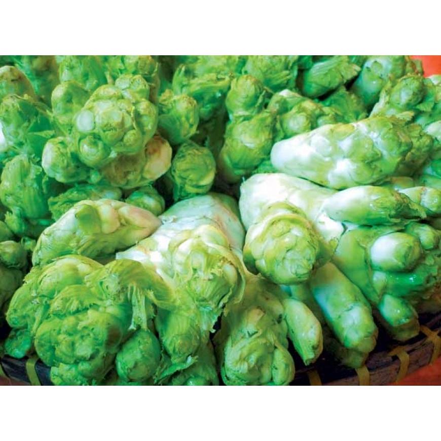 Hạt Giống Rau Cải Mầm Đá F1 -