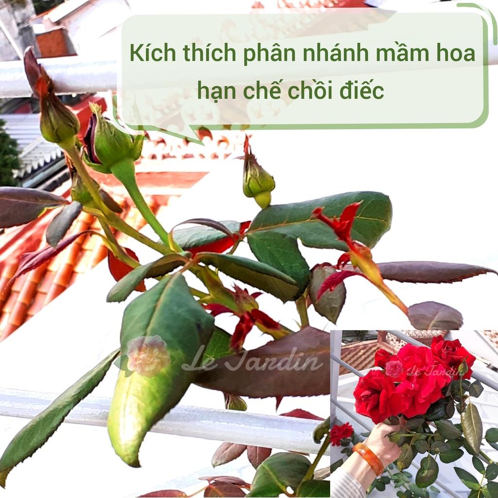 Phân hữu cơ tổng hợp ủ humic dùng kích mầm hoa chai 1L