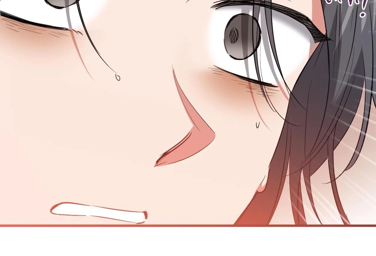 những chú thỏ của hapypy chapter 65 73