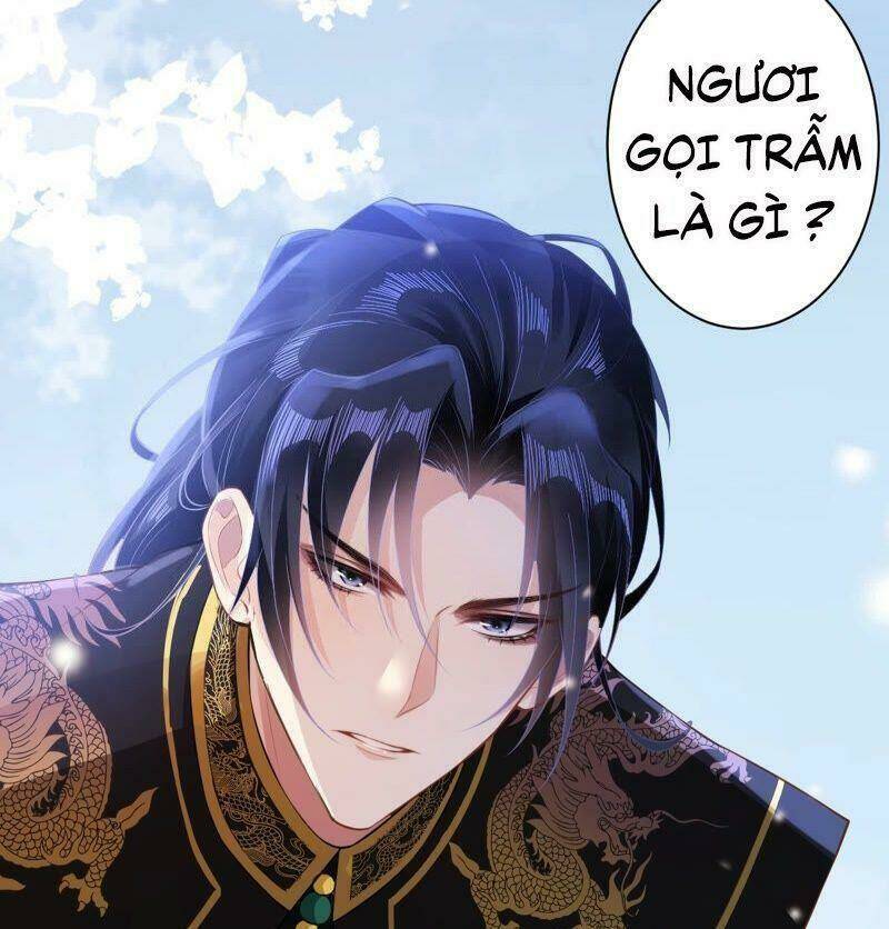 quận chúa vững vàng, thiết lập nhân vật không thể vỡ chapter 26 45