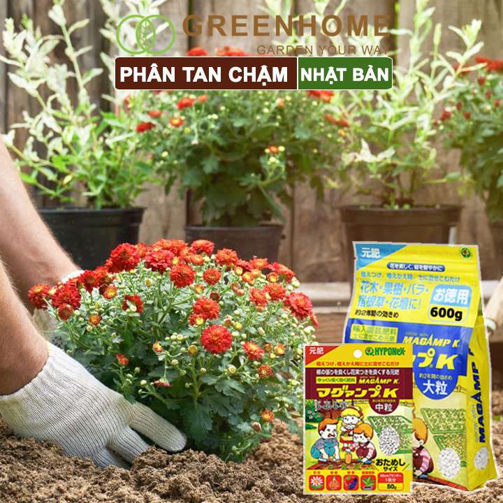 Phân tan chậm Nhật, Hyponex, Magamp K 640-6-15, bao 600gr giúp rễ khoẻ, hoa nhiều, bông to, đậu quả tốt |Greenhome