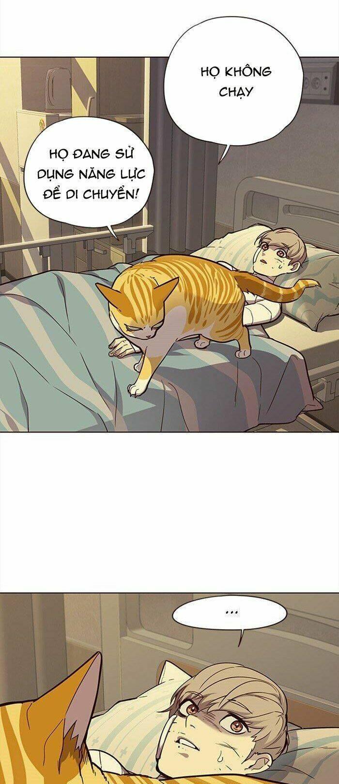 biến thân thành mèo chapter 29 23