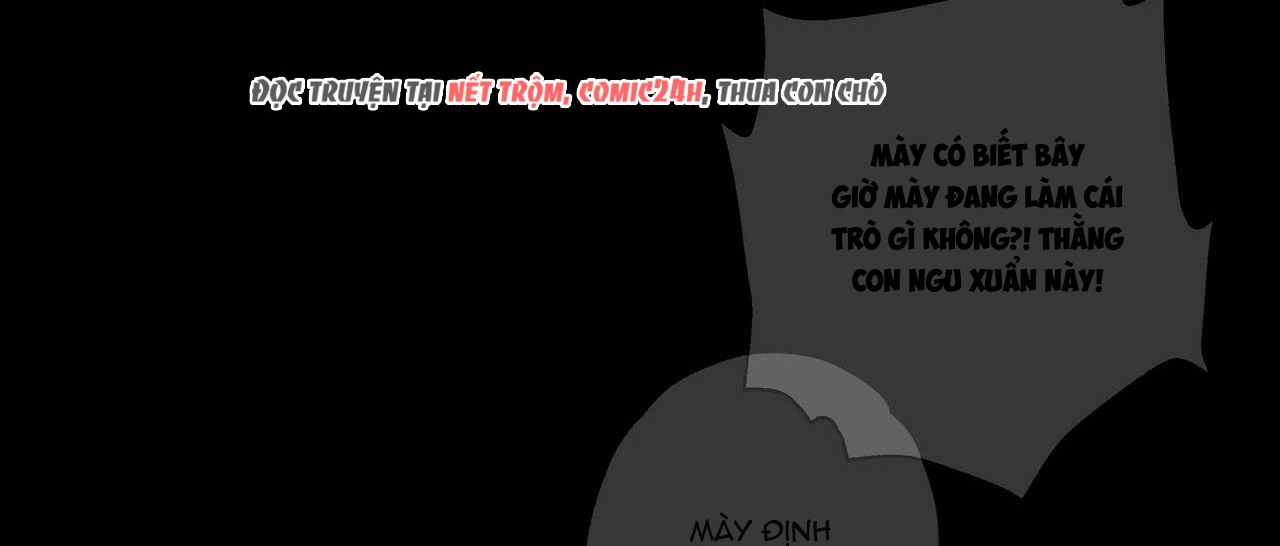 chàng giao pizza và gold palace chapter 11 64