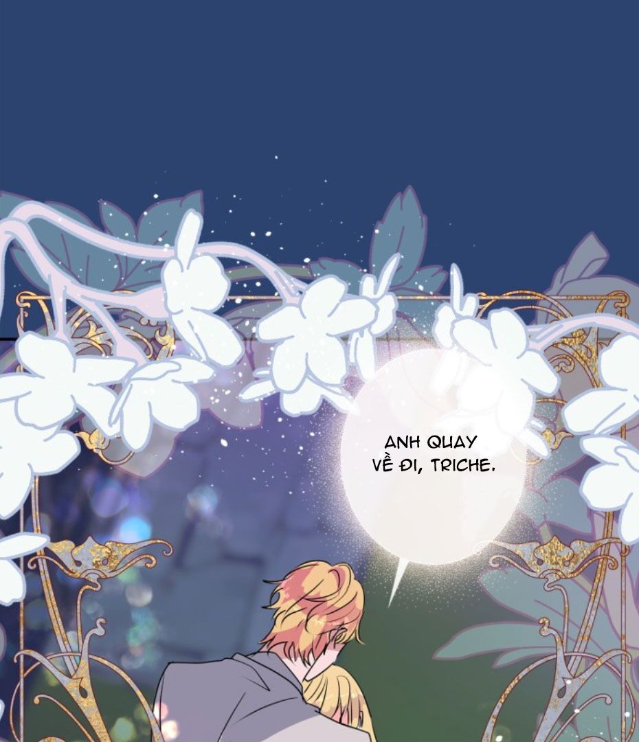 tôi đang nuôi dưỡng một con quái thú chapter 47 58