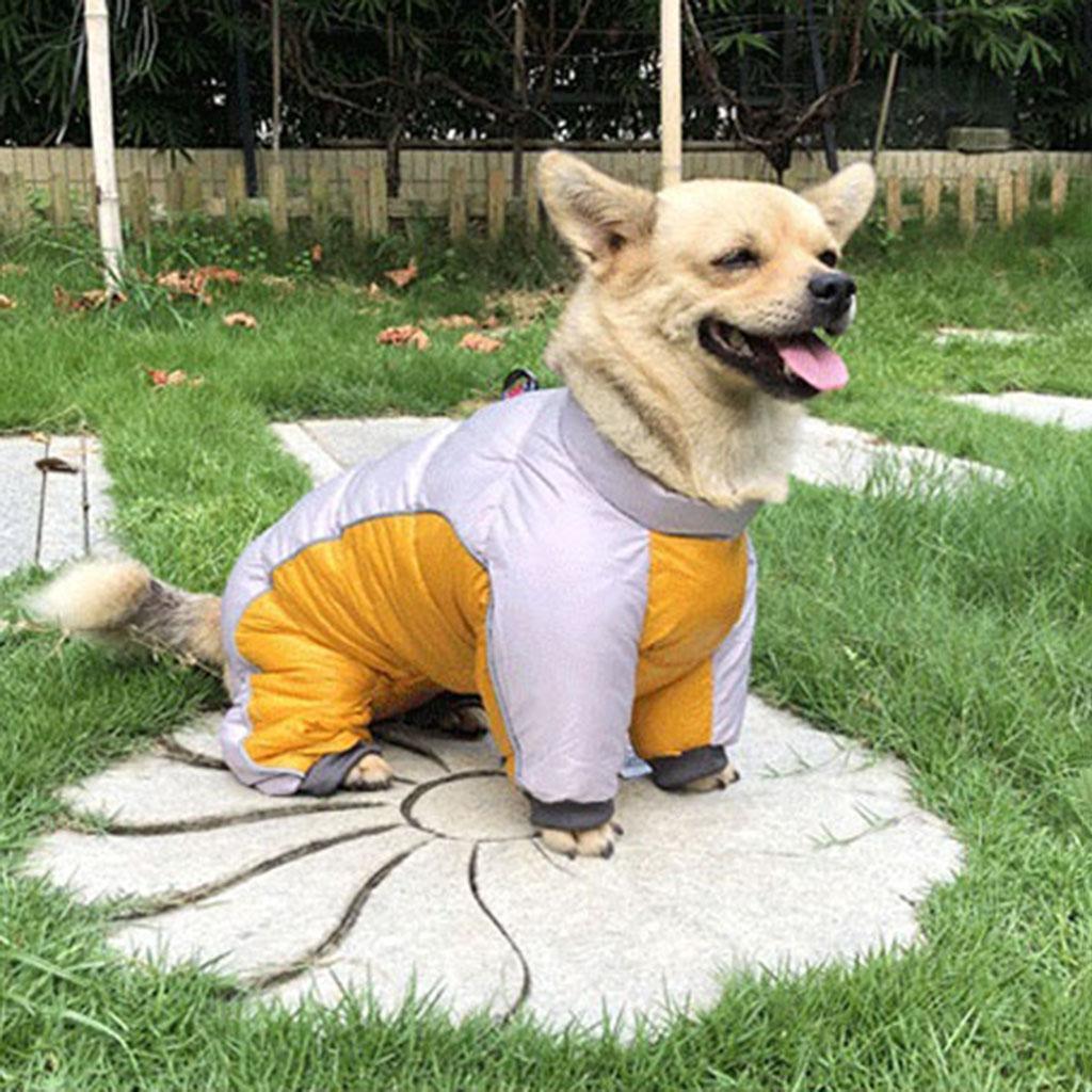 Winter Pet Dog Clothes Warm Jacket Thicker Cotton Coat Waterproof Clothing