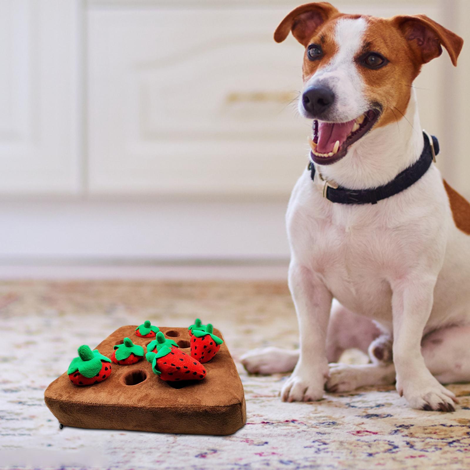 Dog Puzzle Toys for Small Medium and Large Dogs Educational Foraging Toy