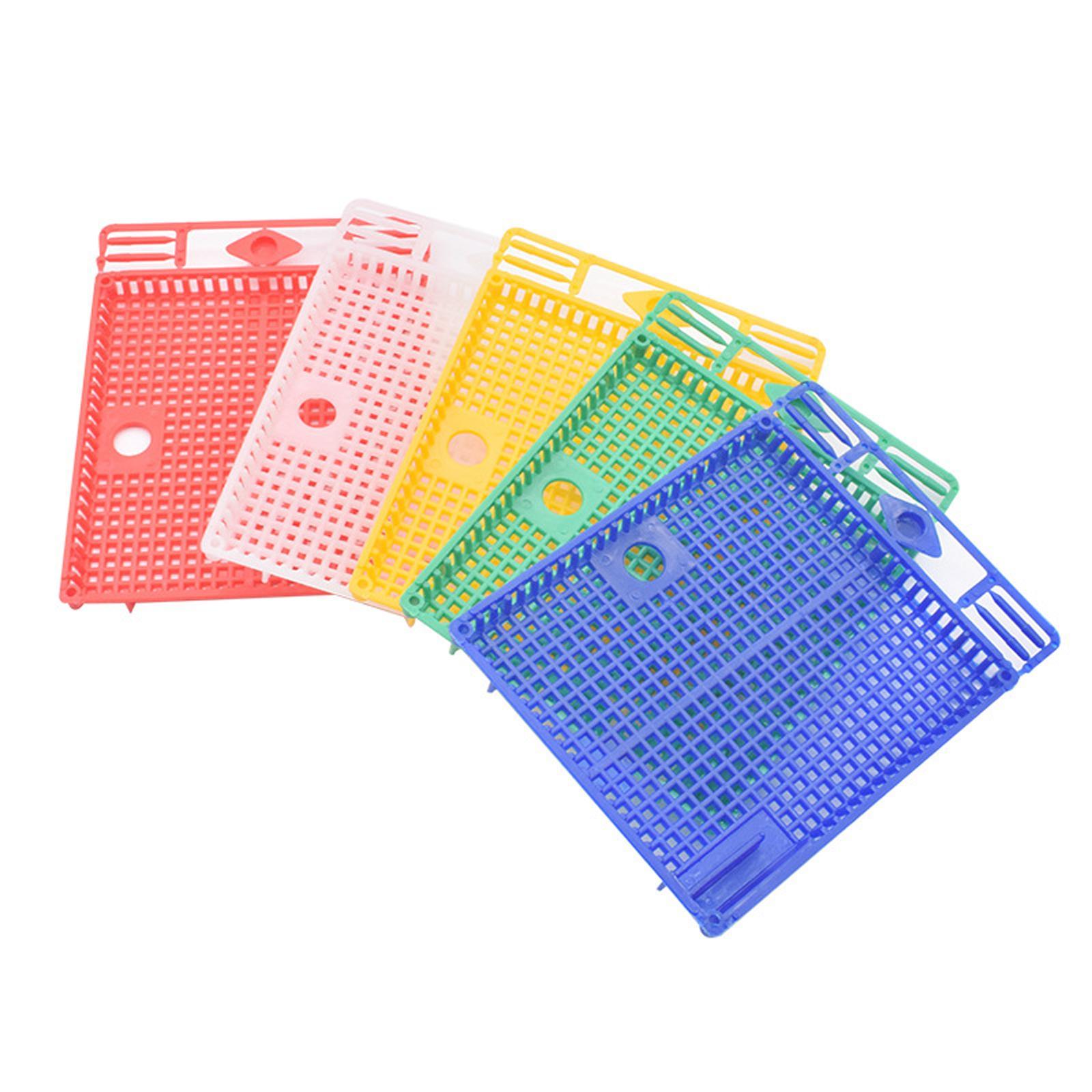 Queen Bee Isolator Introducing Cage Plastic Equipment Reusable Beekeeping