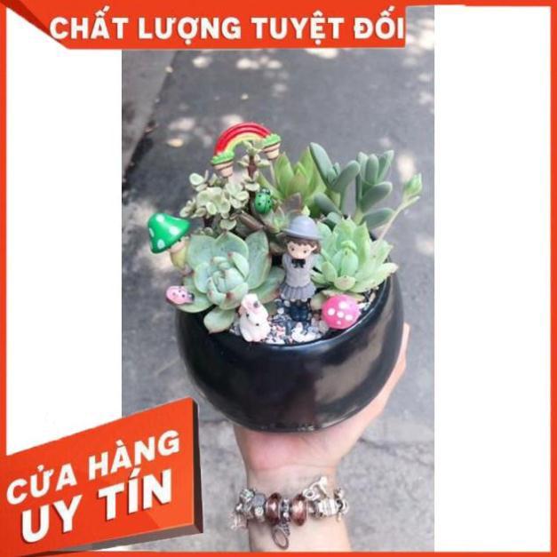 Chậu tiểu cảnh 04