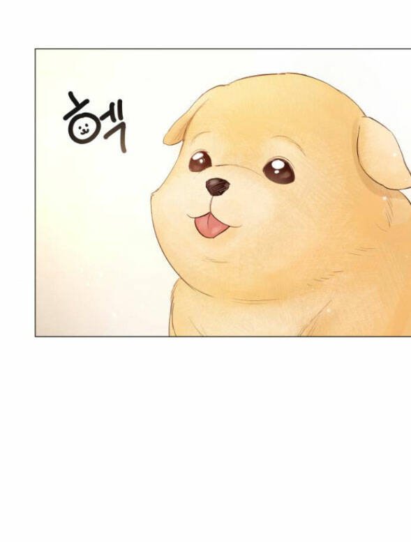 nhất định chúng ta sẽ được hạnh phúc chapter 79.1 26