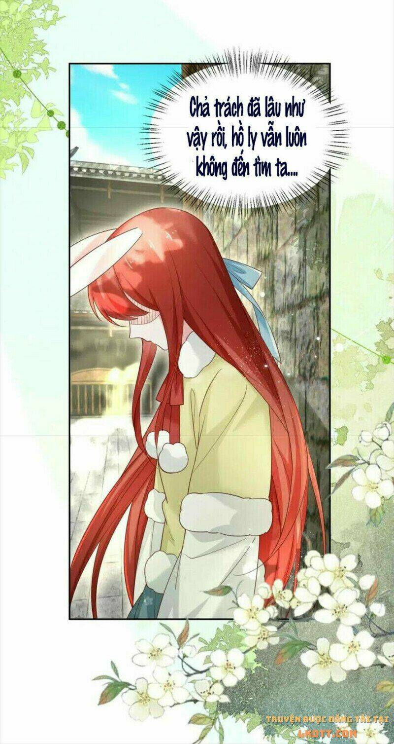 hắc hóa nam chính trực tuyến nuôi thỏ chapter 58 18