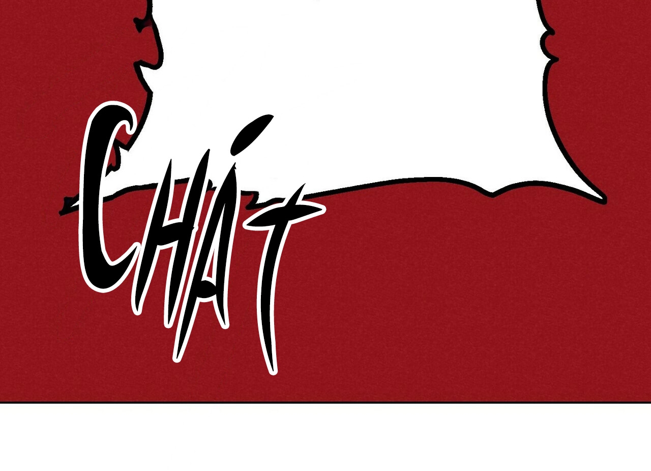 chàng dâu nhà họ kang chapter 5 135