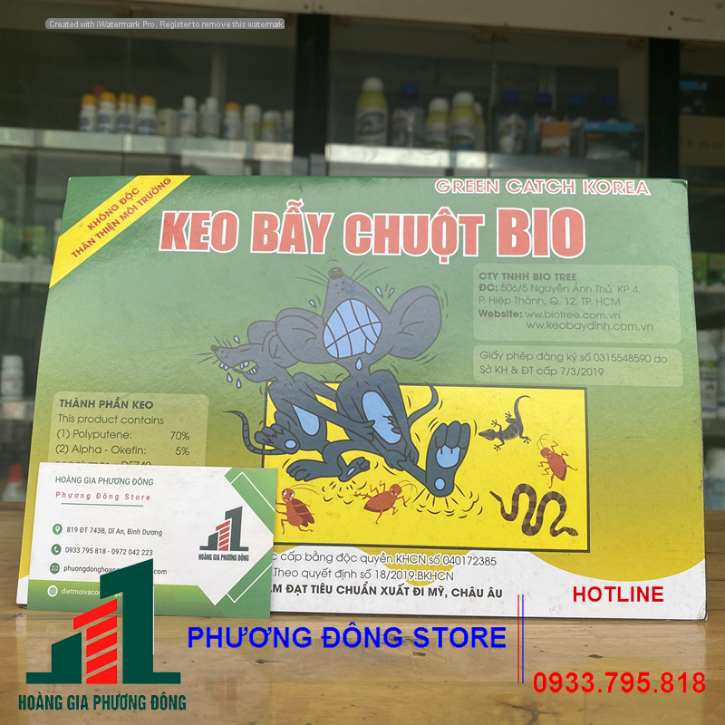 Keo dính chuột giấy