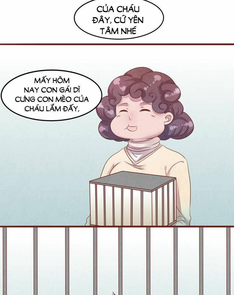 đào tạo nuôi dưỡng bạn trai mèo chapter 52 14