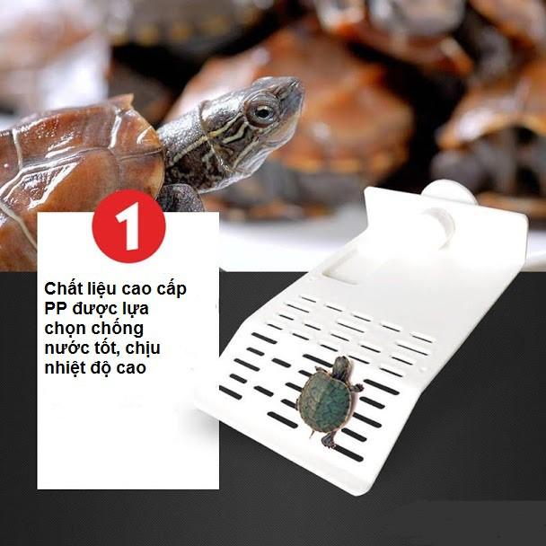 Máng leo cho rùa trắng