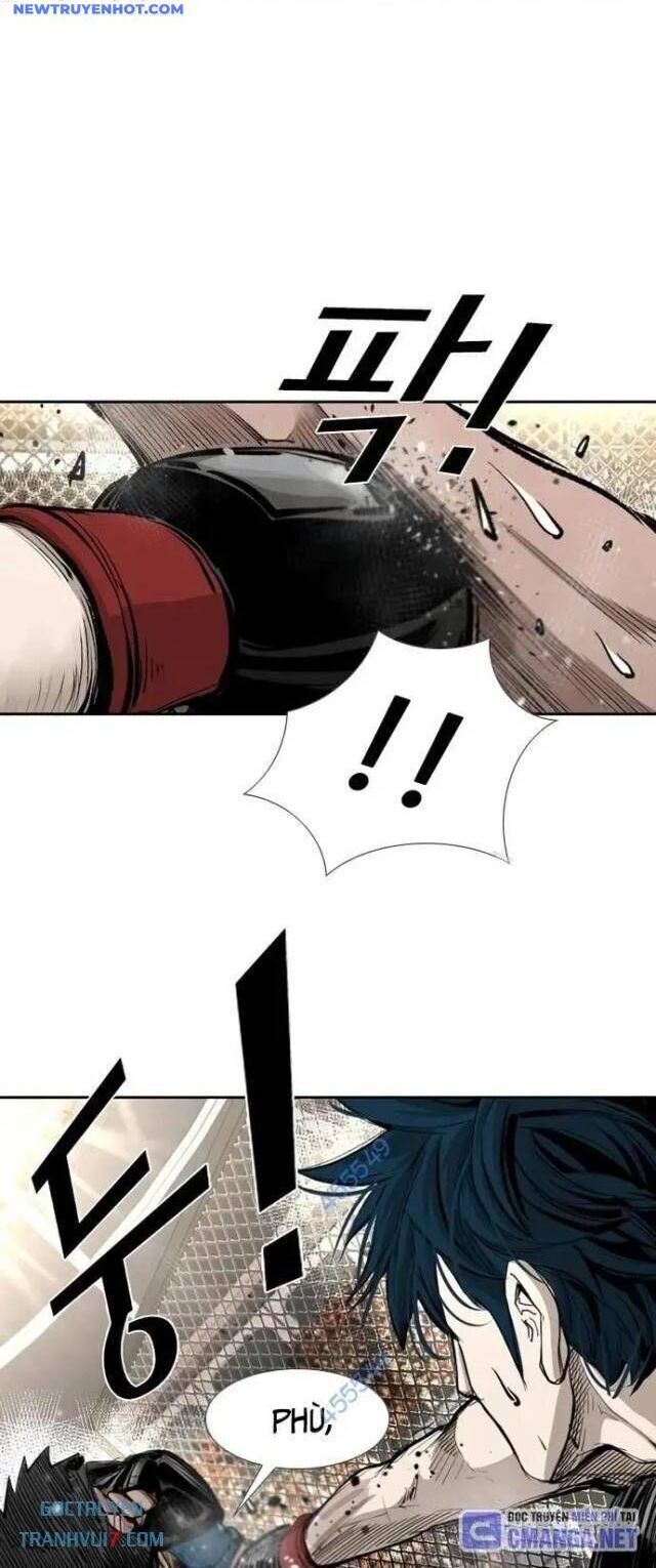 shark - cá mập chapter 161 25