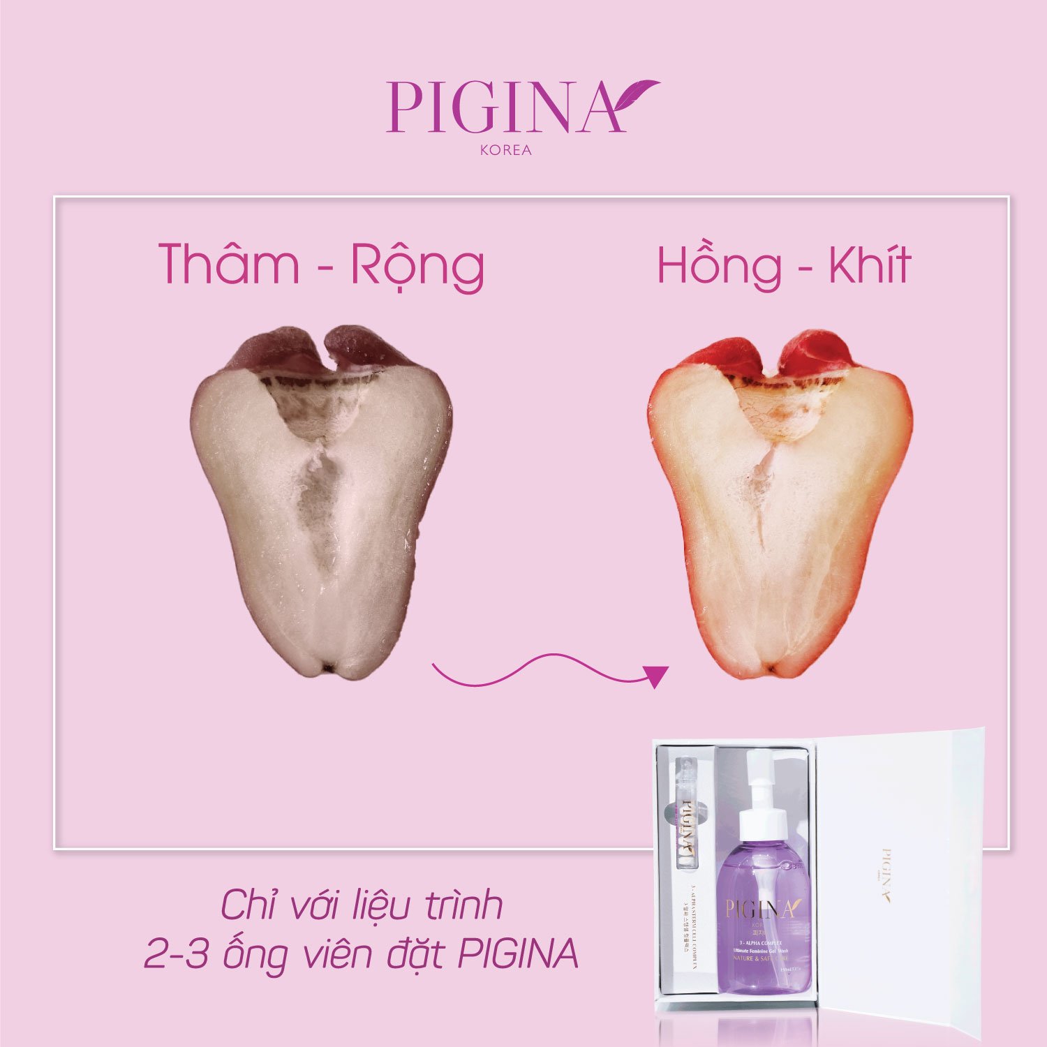 [Chính hãng] Set combo Vệ sinh phụ nữ PIGINA Freeship