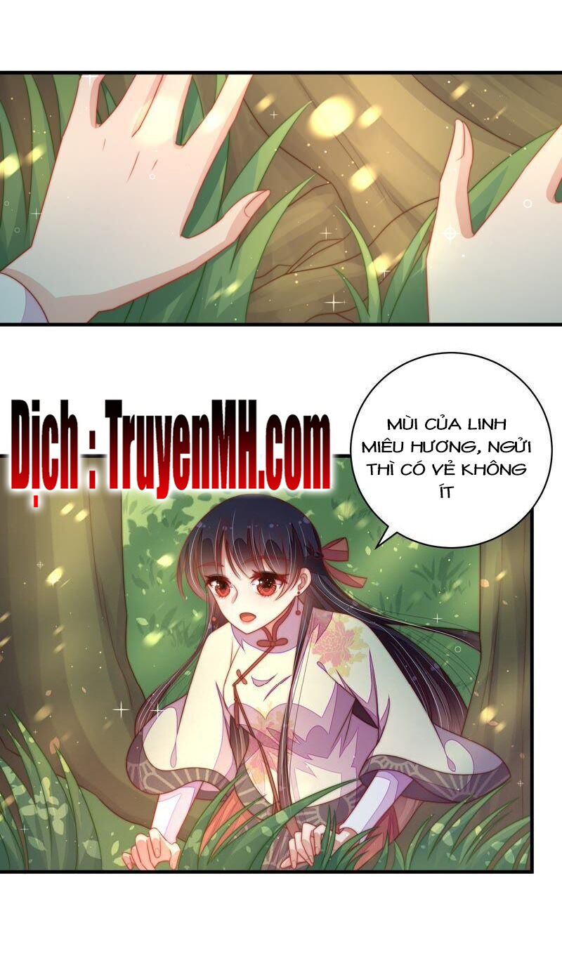 ngày nào thiếu soái cũng ghen chapter 225 1