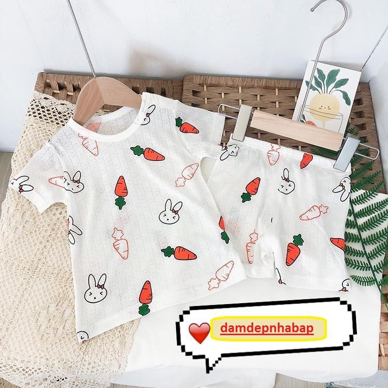 Quần áo trẻ em - Set bộ bé gái QC cotton sợi tre lưới cao cấp