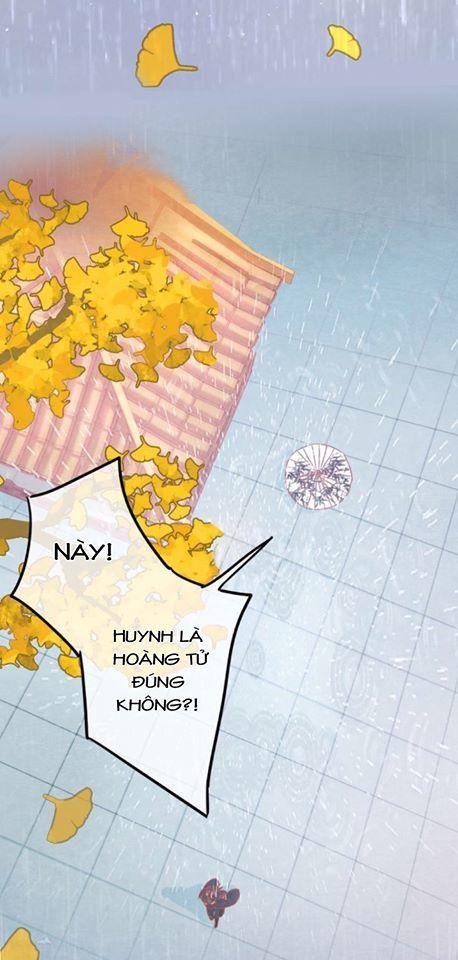 phượng hoàng chapter 0 27