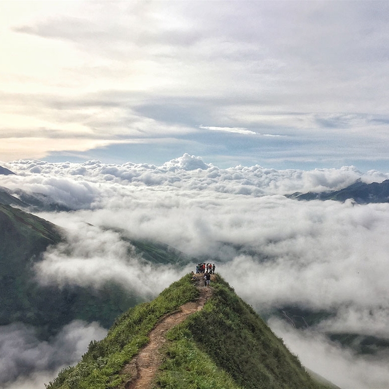 Tour 2N1Đ Săn Mây Tà Xùa - Đồi Chè Thanh Sơn - Háng Đồng, Khởi Hành Thứ 7 Hàng Tuần Từ Hà Nội