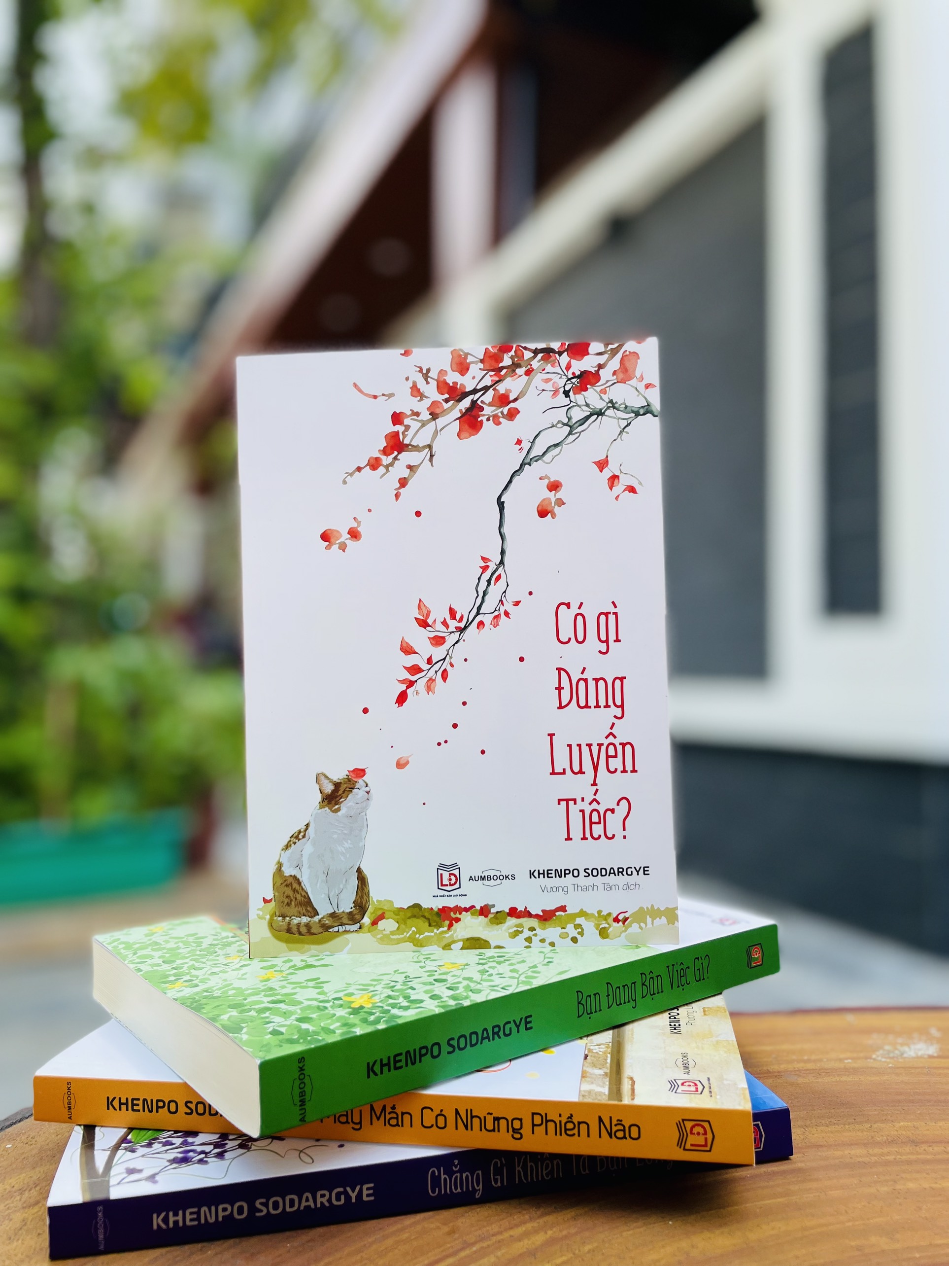 BỘ SÁCH "TIẾC" - Sách Tôn Giáo, Nghệ Thuật Và Văn Hóa, Tác Giả KHENPO SODARGYE - Hiệu Sách GenBooks, bìa mềm, in màu